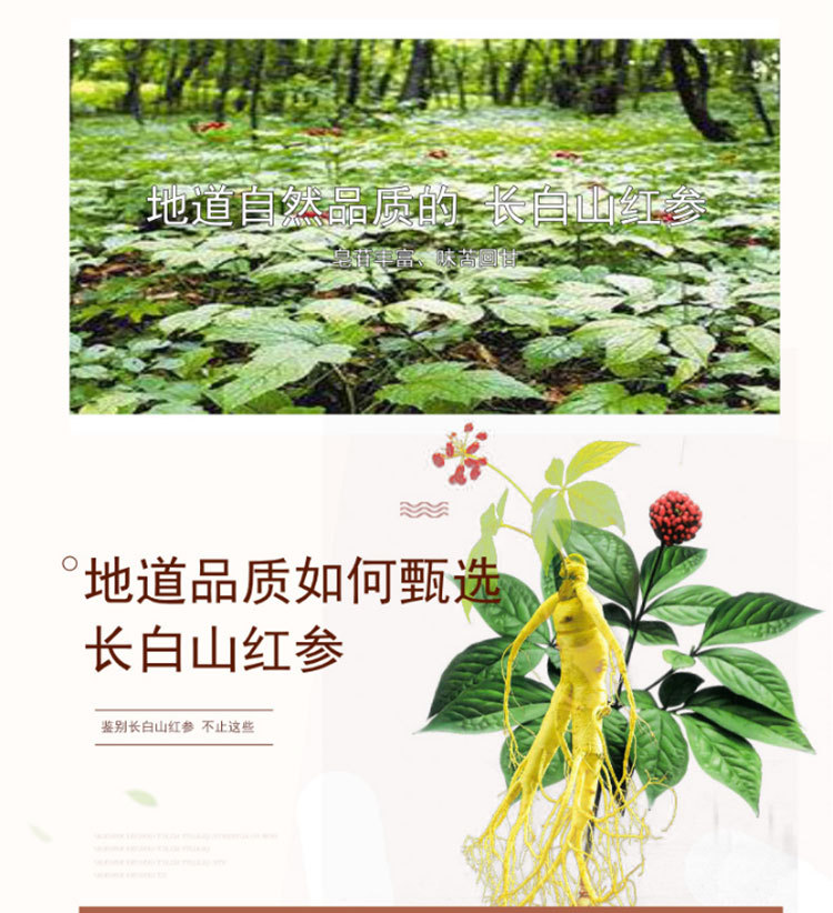红盒人参五只福贞堂_06.jpg