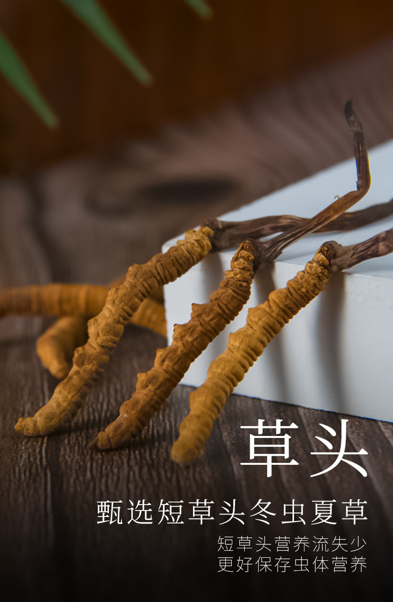 晒干虫草_07.jpg