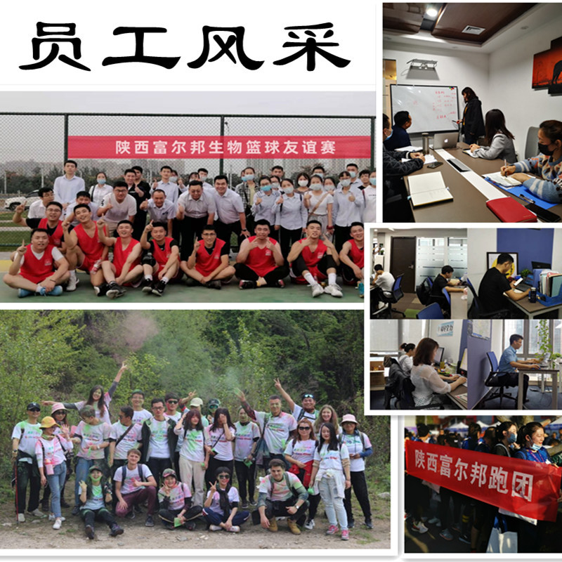 员工风采修改后